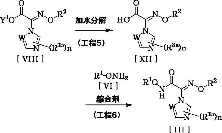 Figure JPOXMLDOC01-appb-C000013