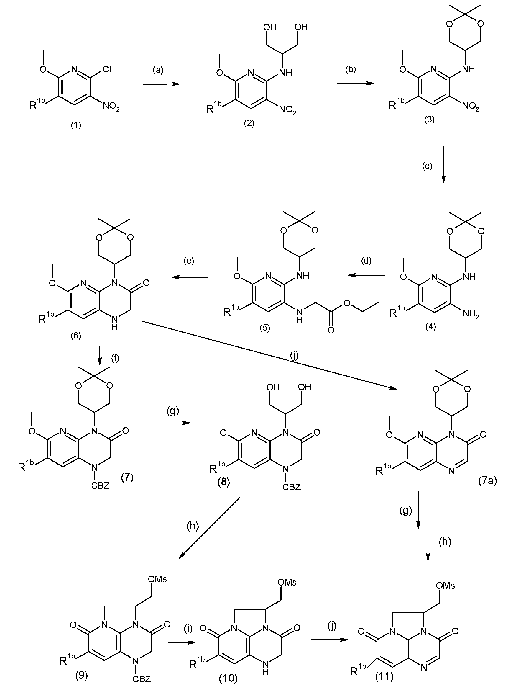 Figure pct00020