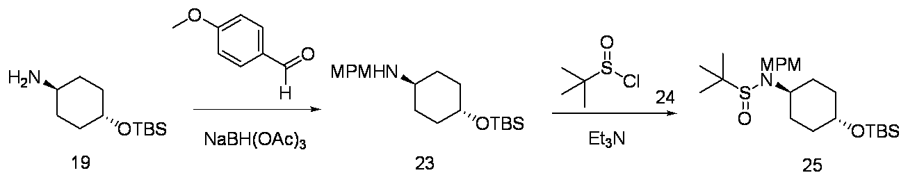 Figure JPOXMLDOC01-appb-C000055