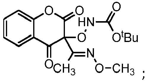 Figure imgb0133