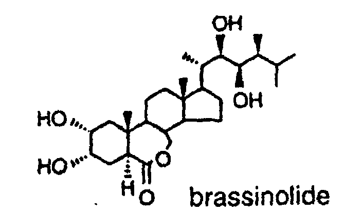 Figure 00020001