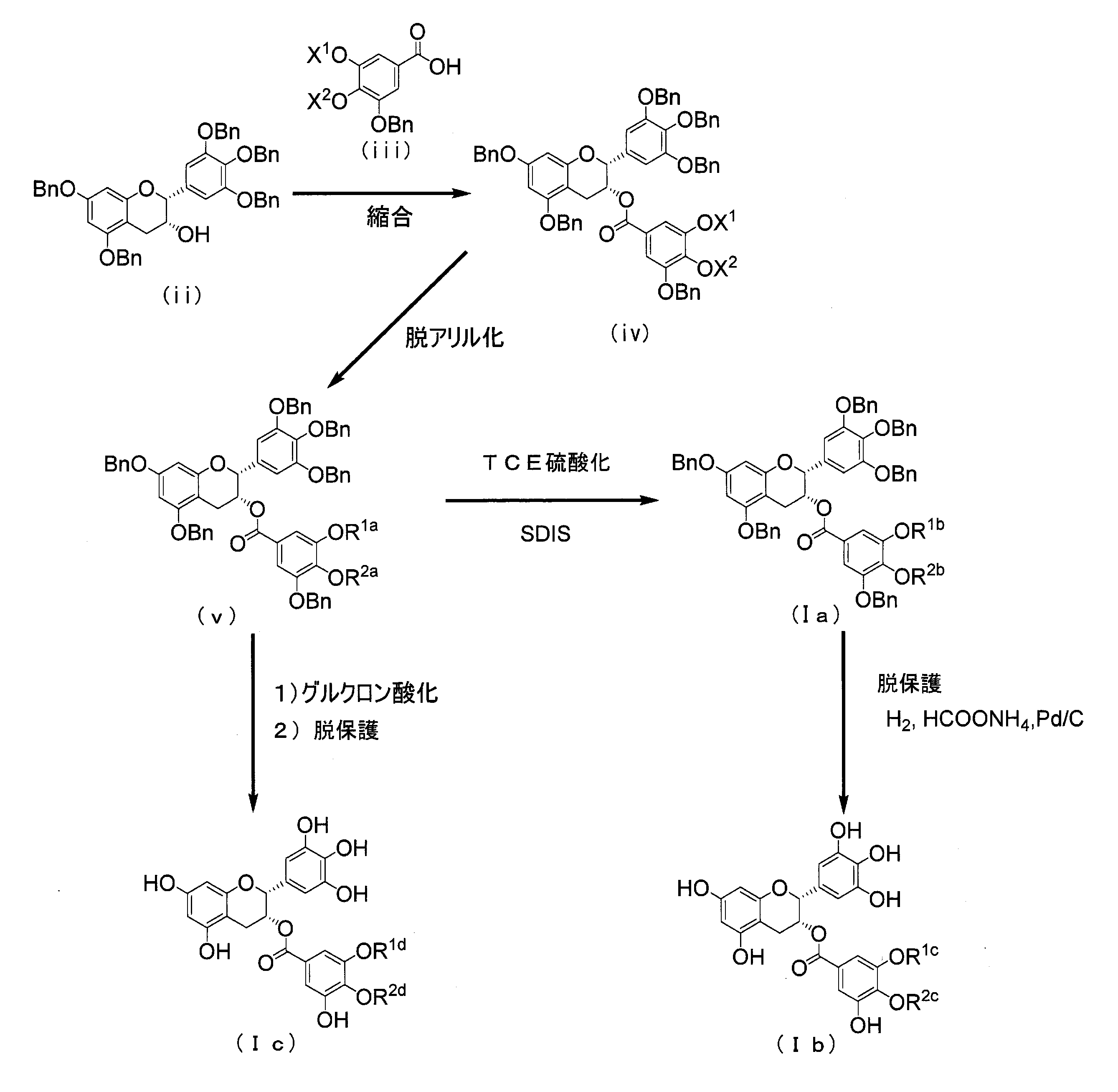 Figure JPOXMLDOC01-appb-C000020
