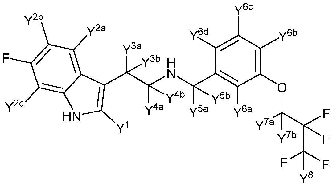 Figure imgf000004_0001
