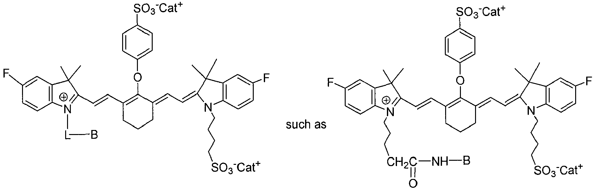 Figure imgb0014