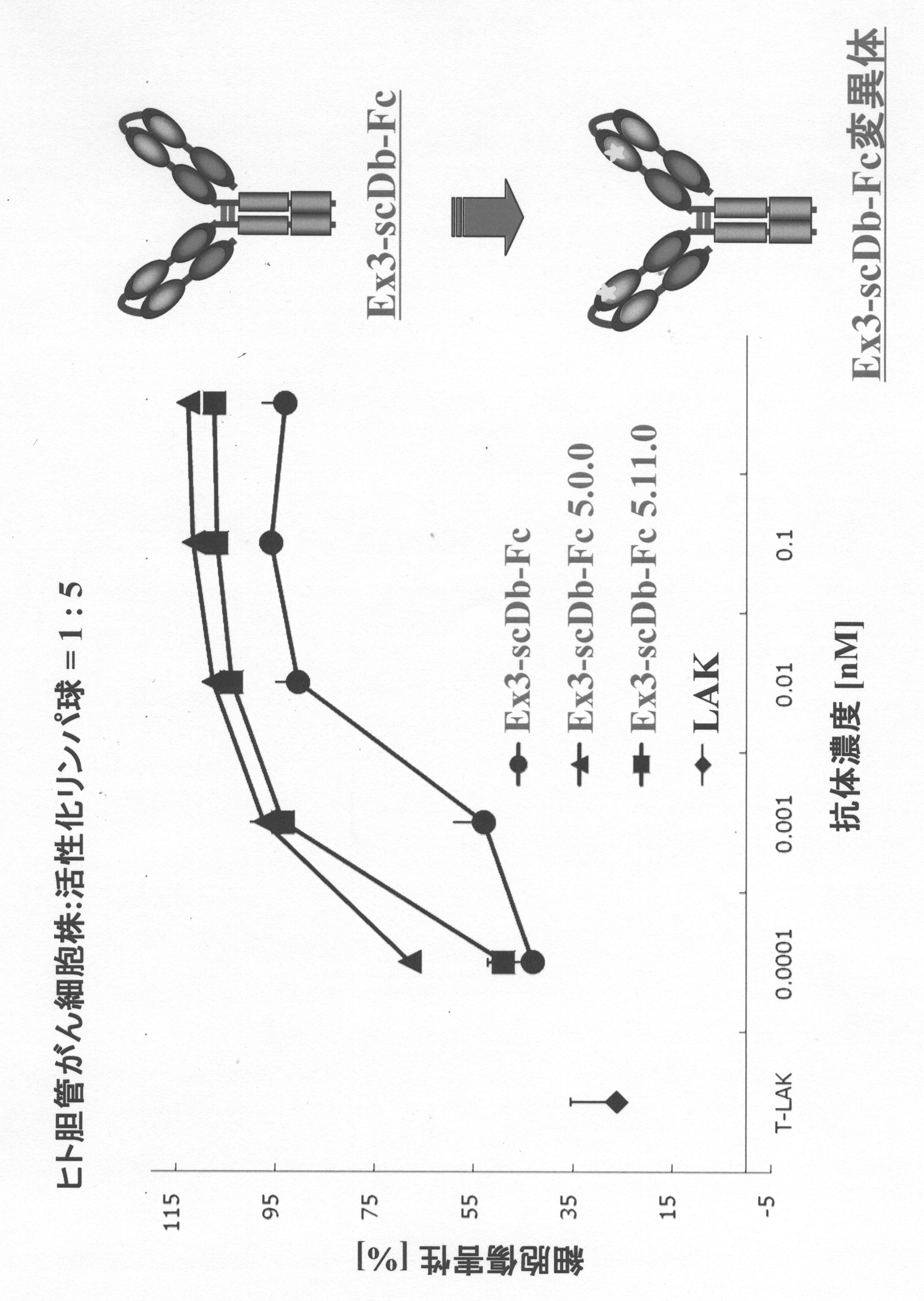 Wo2011062112a1 ヒト型化抗egfr抗体可変領域の高機能性変異体 Google Patents