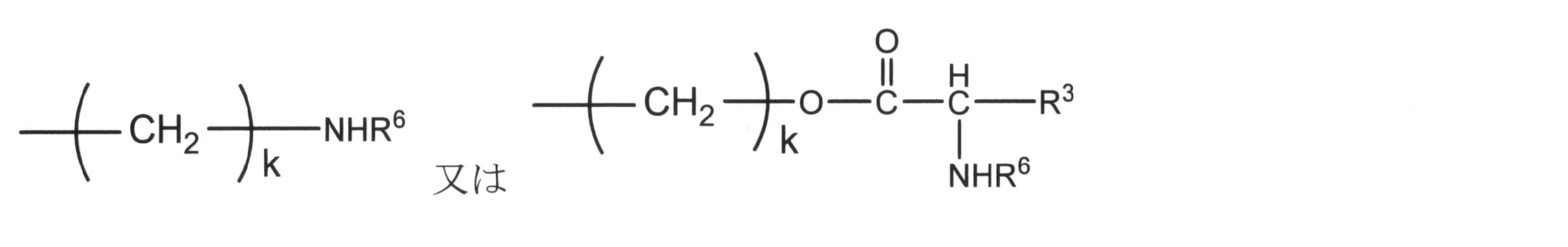Figure JPOXMLDOC01-appb-C000003