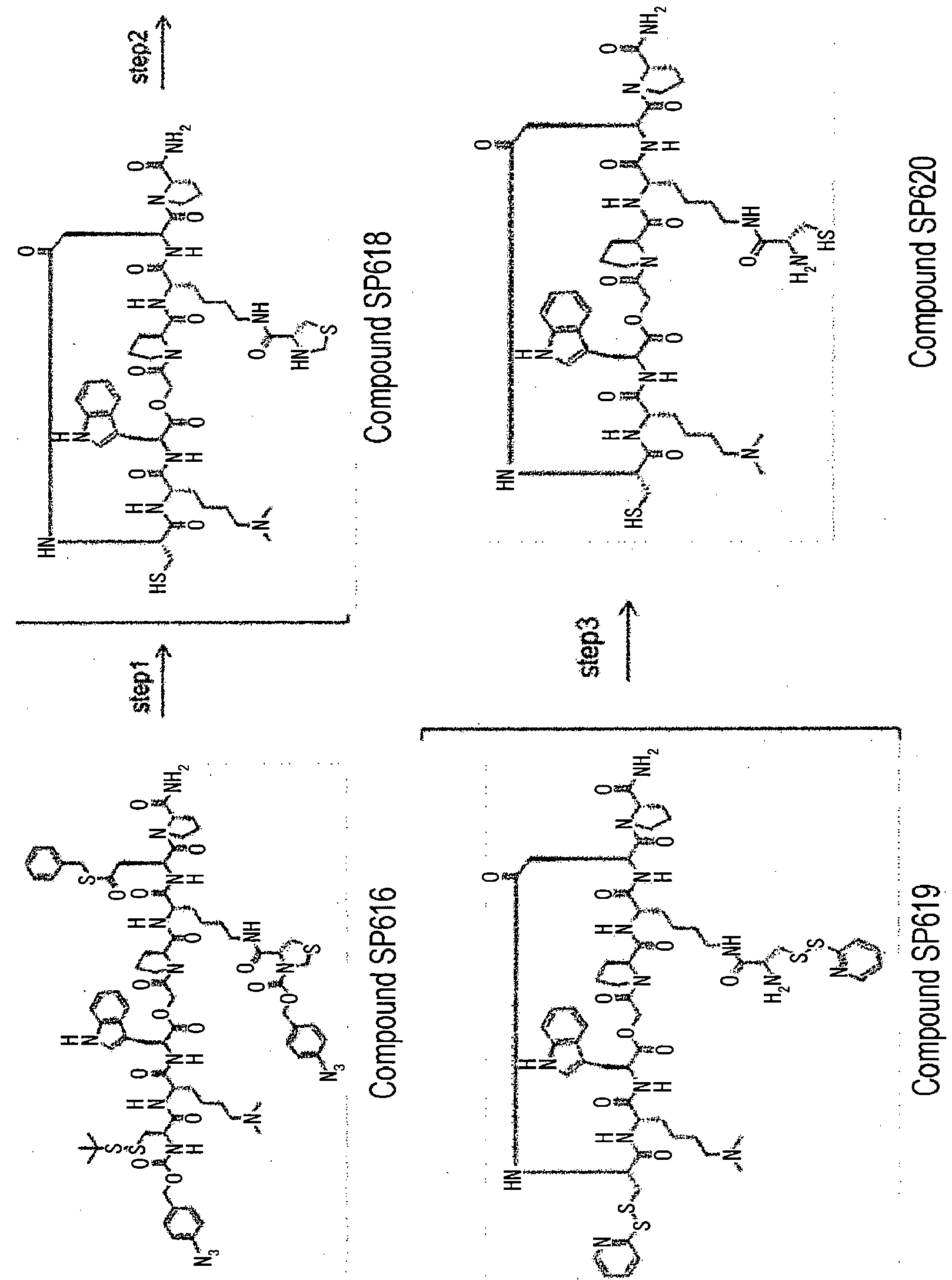 Figure imgb1069