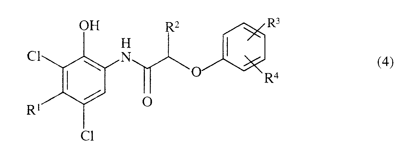 Figure 00510001