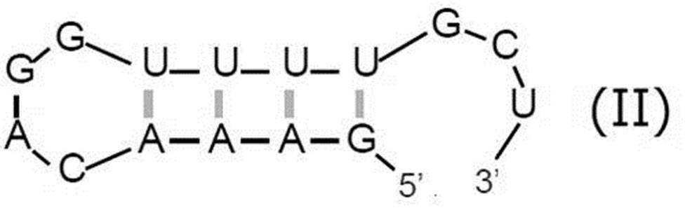 Figure JPOXMLDOC01-appb-C000005