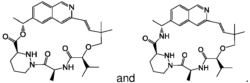 Figure imgb0089