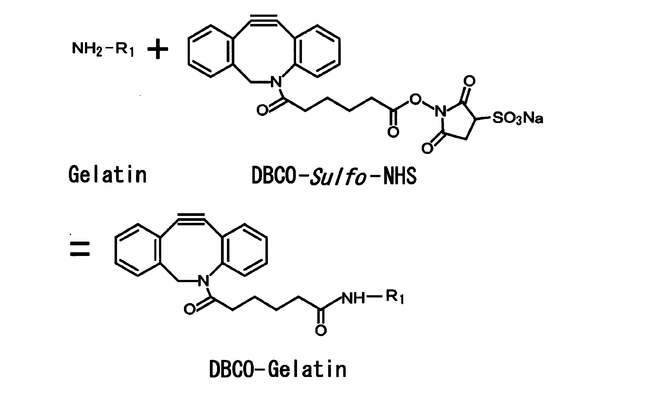 Figure JPOXMLDOC01-appb-C000013