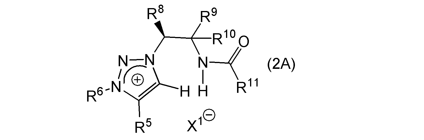Figure JPOXMLDOC01-appb-C000010