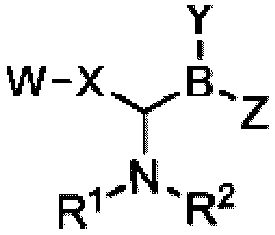 Figure JPOXMLDOC01-appb-C000008