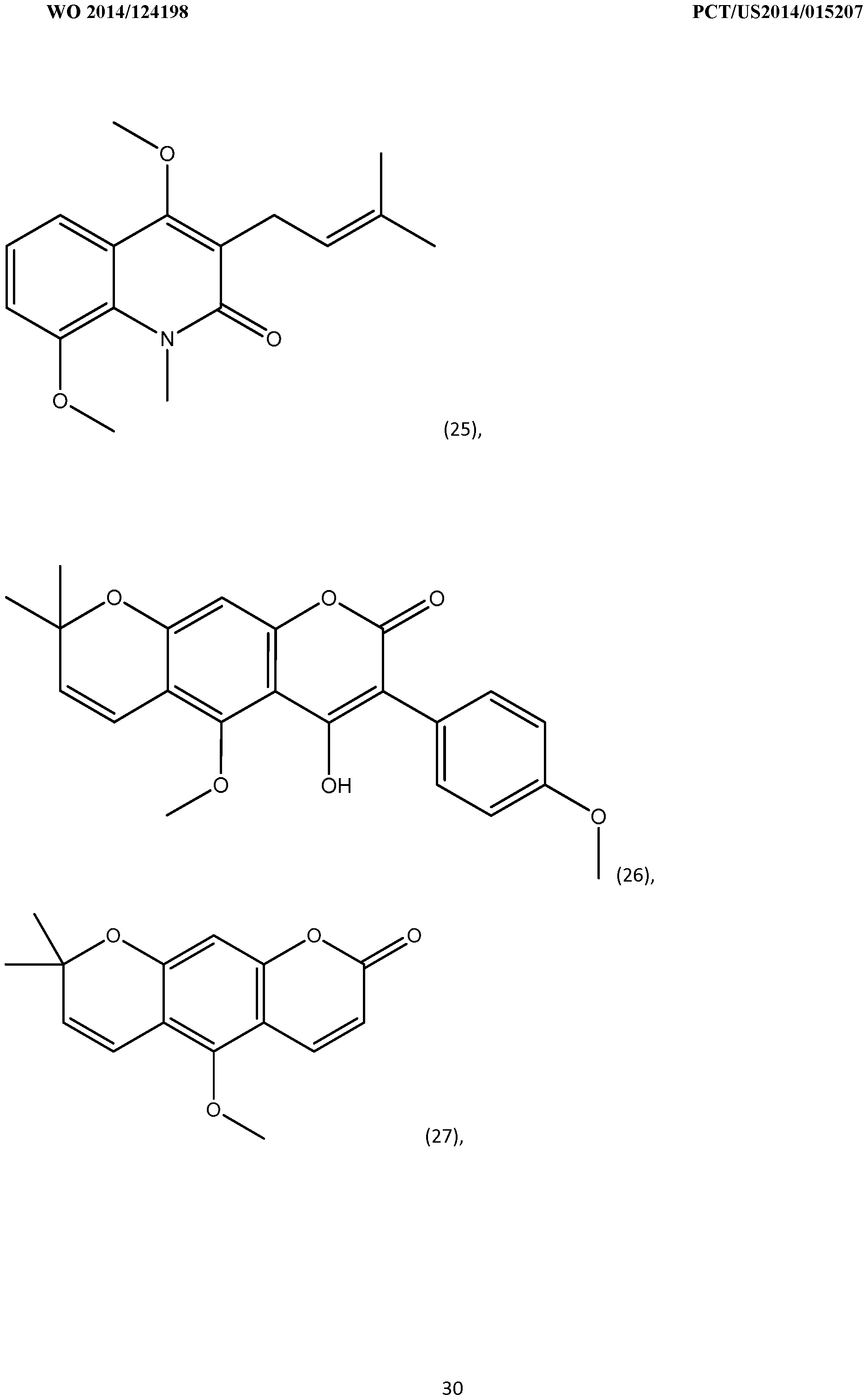 Figure imgf000031_0001