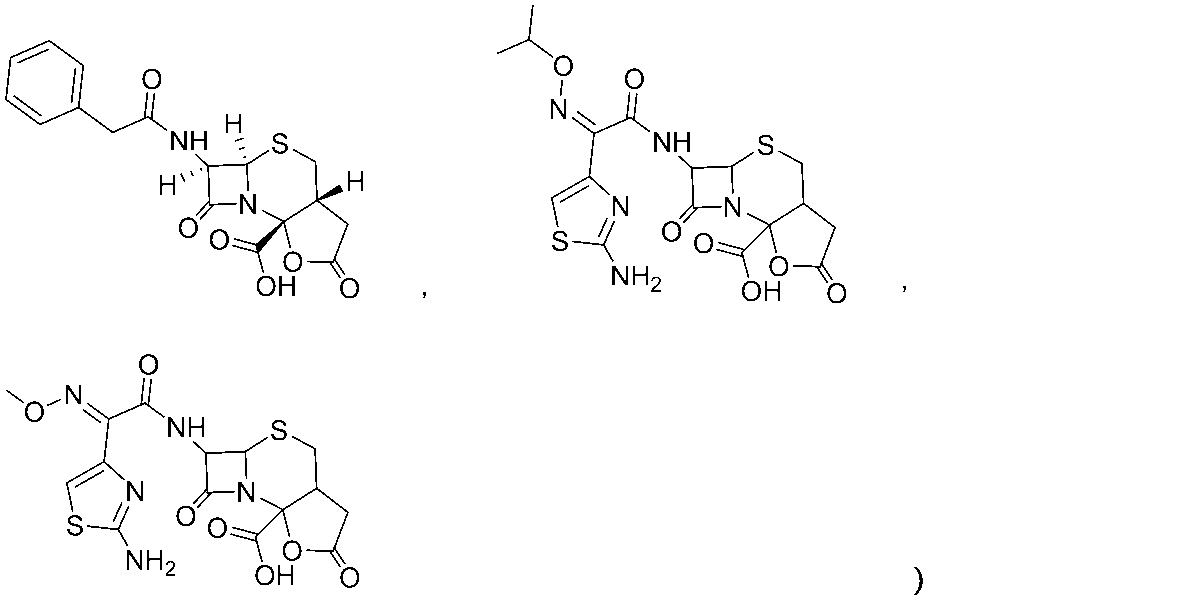 Figure JPOXMLDOC01-appb-C000033