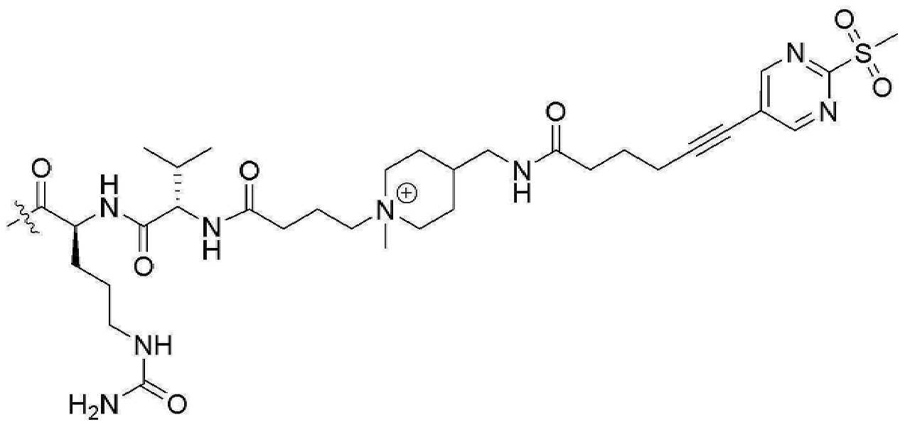 Figure pct00973
