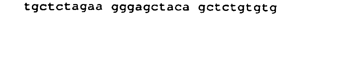 Figure 00330001
