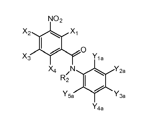Figure imgb0096