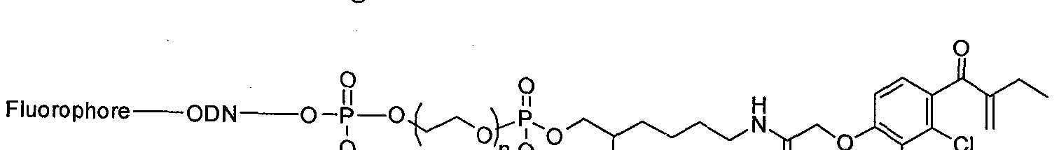 Figure imgf000035_0002
