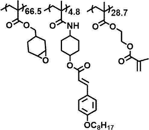 Figure JPOXMLDOC01-appb-C000048
