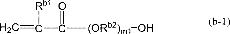 Figure JPOXMLDOC01-appb-C000022