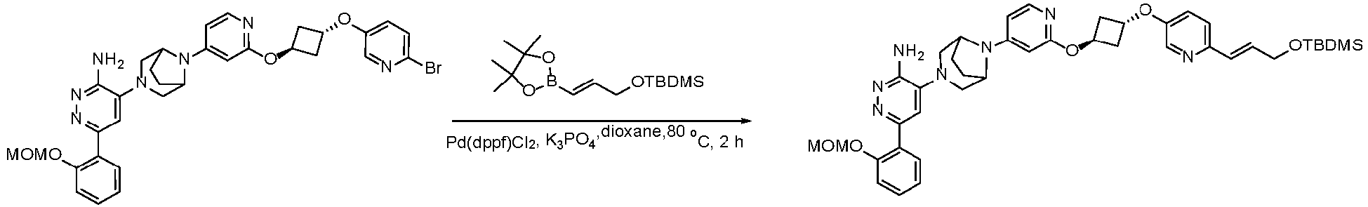 Figure imgb1179