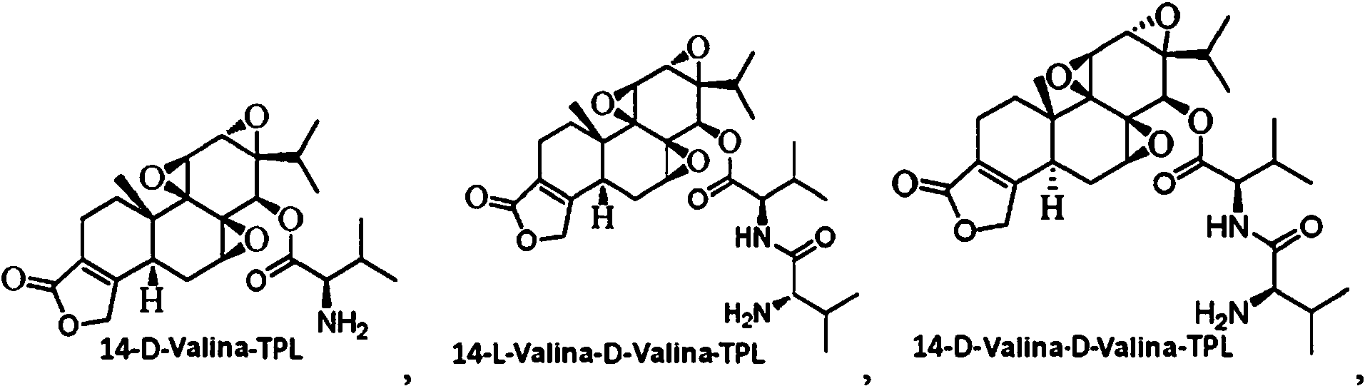 Figure imgf000003_0001