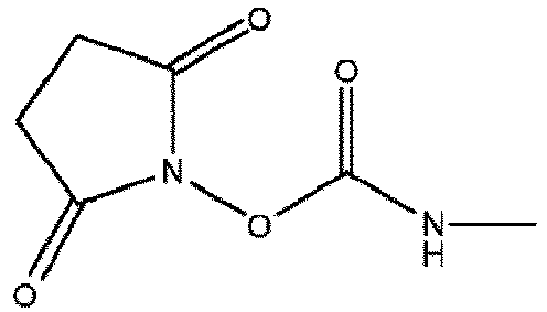 Figure imgb0048