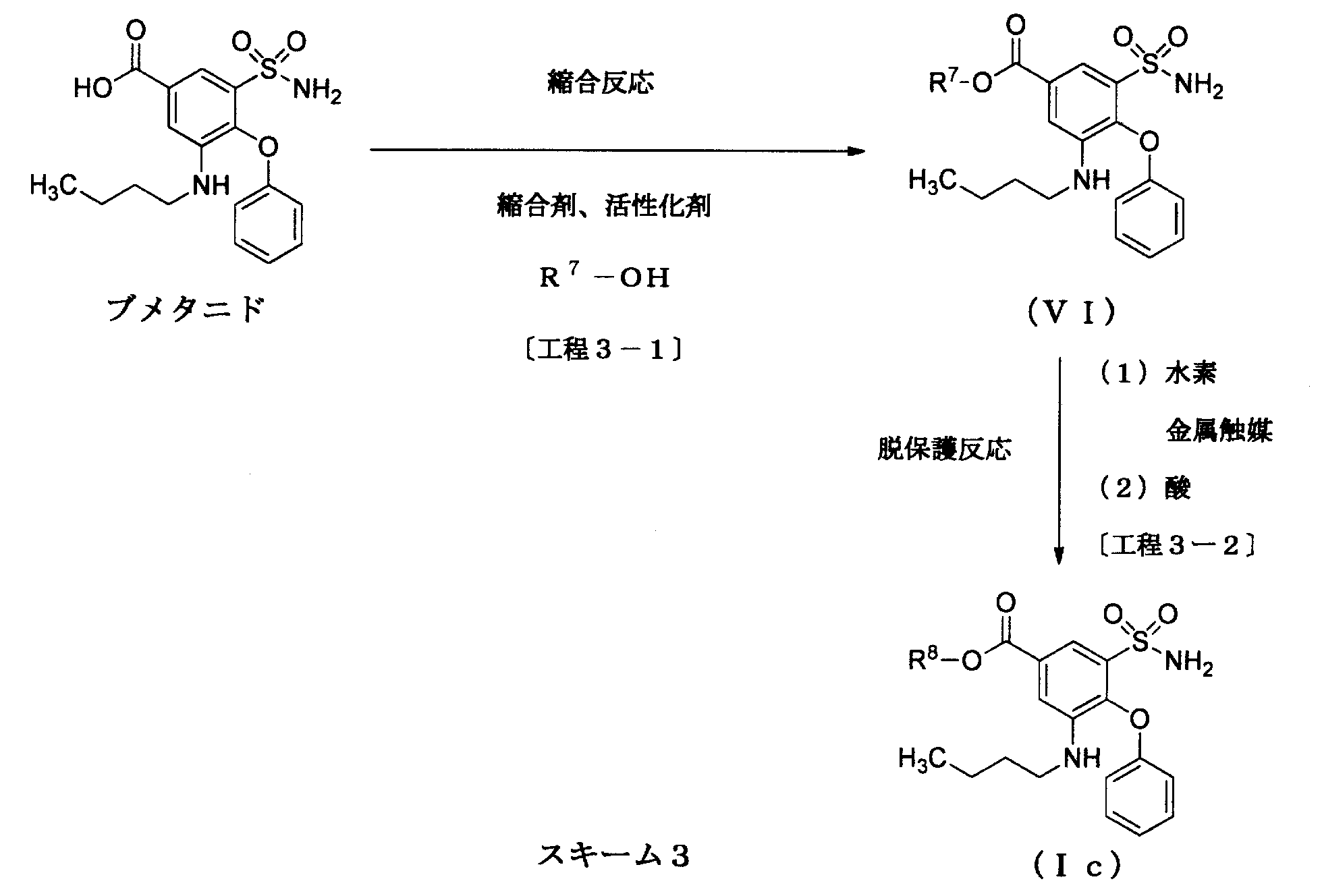 Figure JPOXMLDOC01-appb-C000035