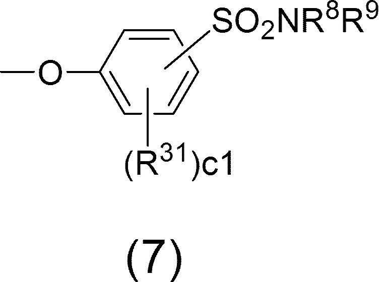 Figure JPOXMLDOC01-appb-C000013
