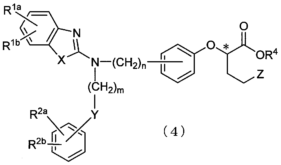 Figure imgf000032_0001