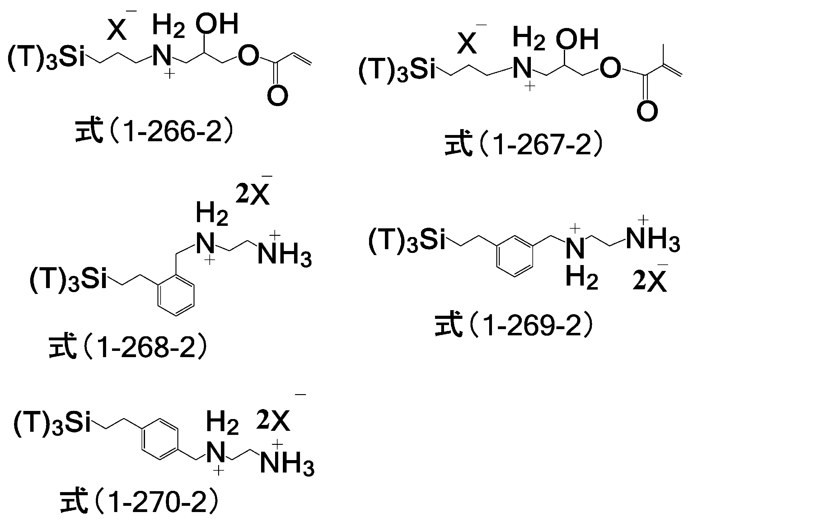 Figure JPOXMLDOC01-appb-C000073