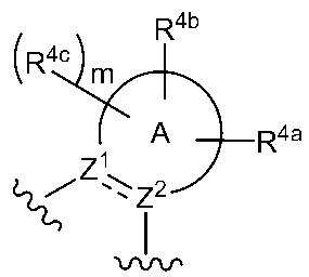 Figure JPOXMLDOC01-appb-C000013