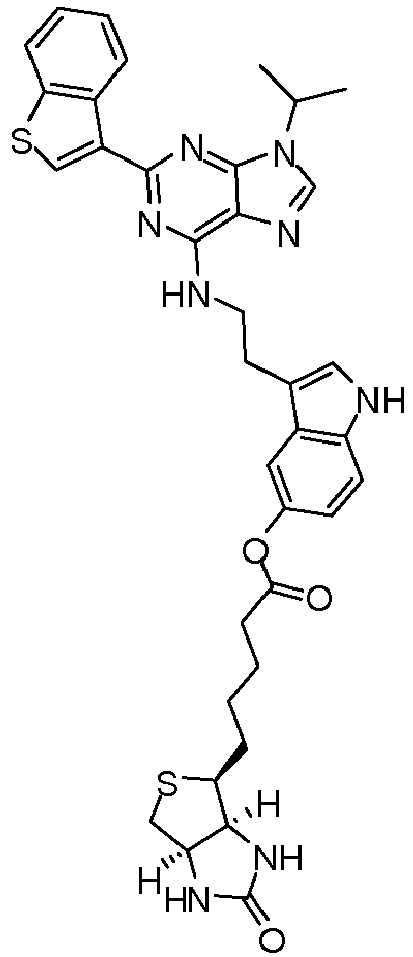 Figure imgb0169