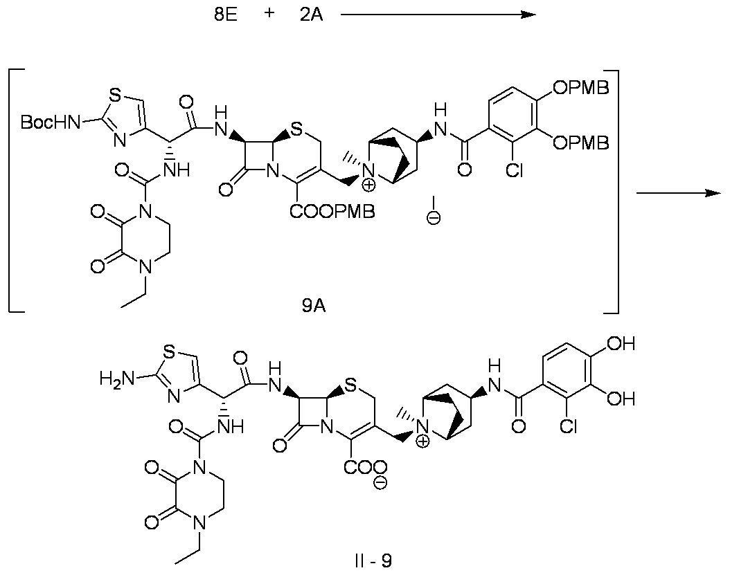 Figure JPOXMLDOC01-appb-C000079