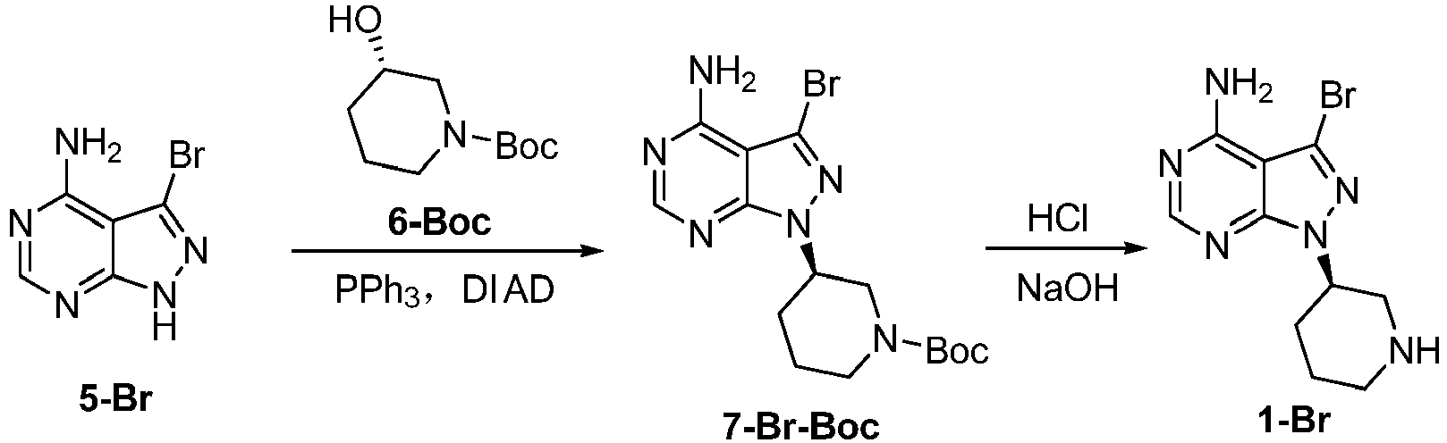 Figure imgb0024