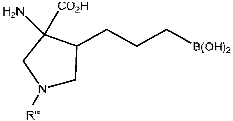 Figure imgb0303