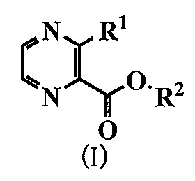 Figure JPOXMLDOC01-appb-C000022