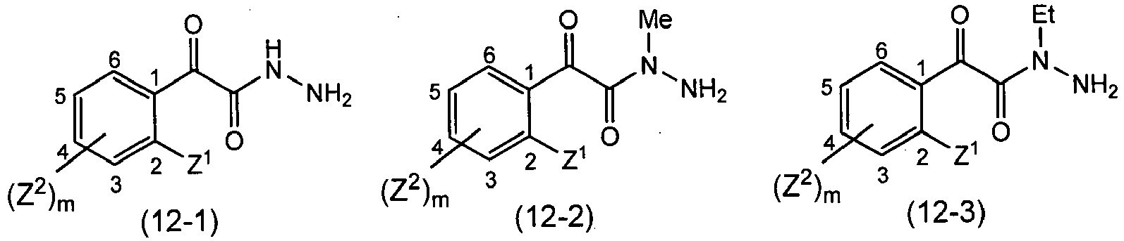 Figure imgb0125