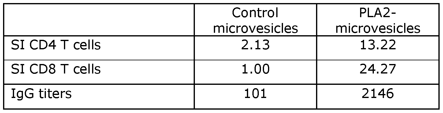 Figure imgf000031_0001