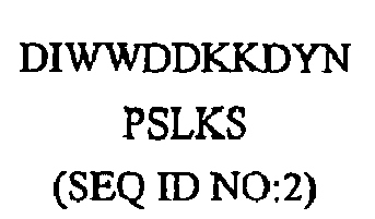 Figure imgb0031