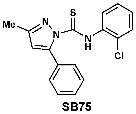 Figure imgf000053_0003