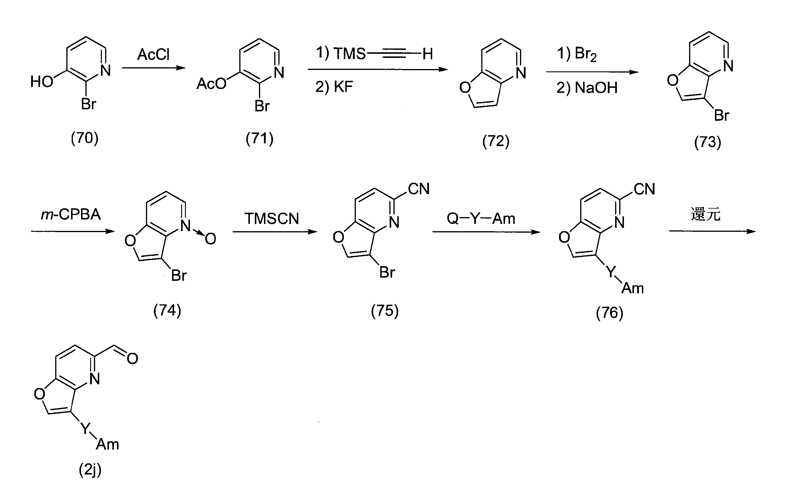 Figure JPOXMLDOC01-appb-C000024