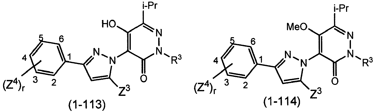 Figure imgb0144