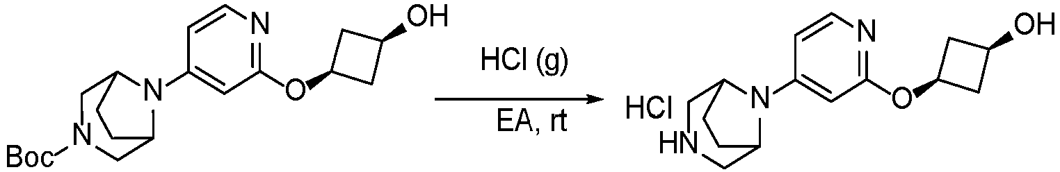 Figure imgb0976