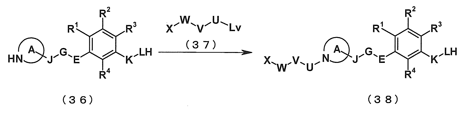 Figure JPOXMLDOC01-appb-C000076