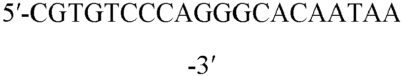 Figure imgb0040