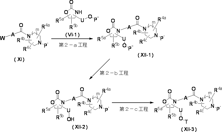 Figure JPOXMLDOC01-appb-C000025