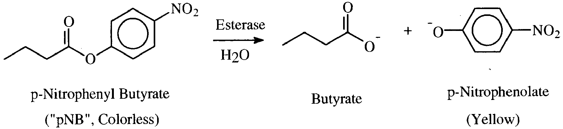 Figure imgb0004