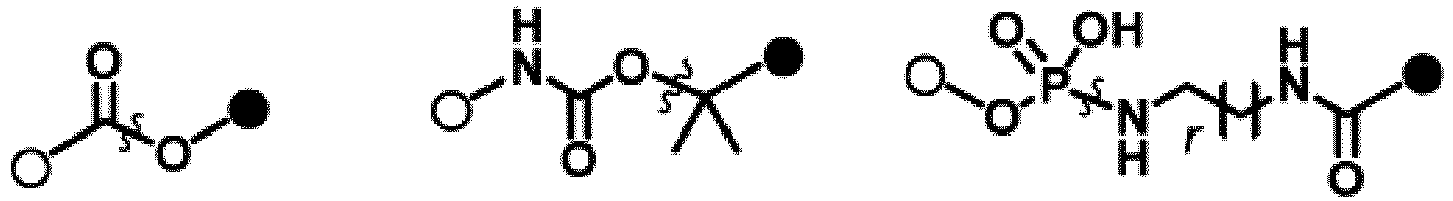Figure imgb0013